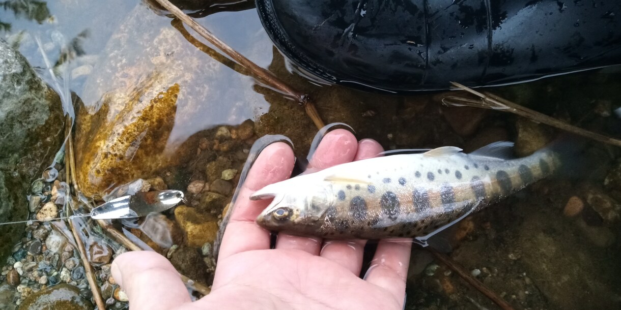 海釣りで魚を釣りたい初心者の方へコツ教えます ファミリーフィッシングでお子さんに魚を釣らせたい方なども イメージ2