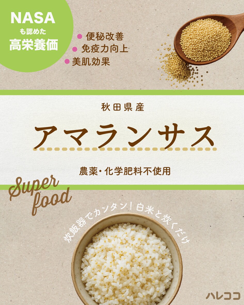 目を引くチラシを作成いたします 洗練されたデザイン、インバウンド向けにも対応 イメージ5