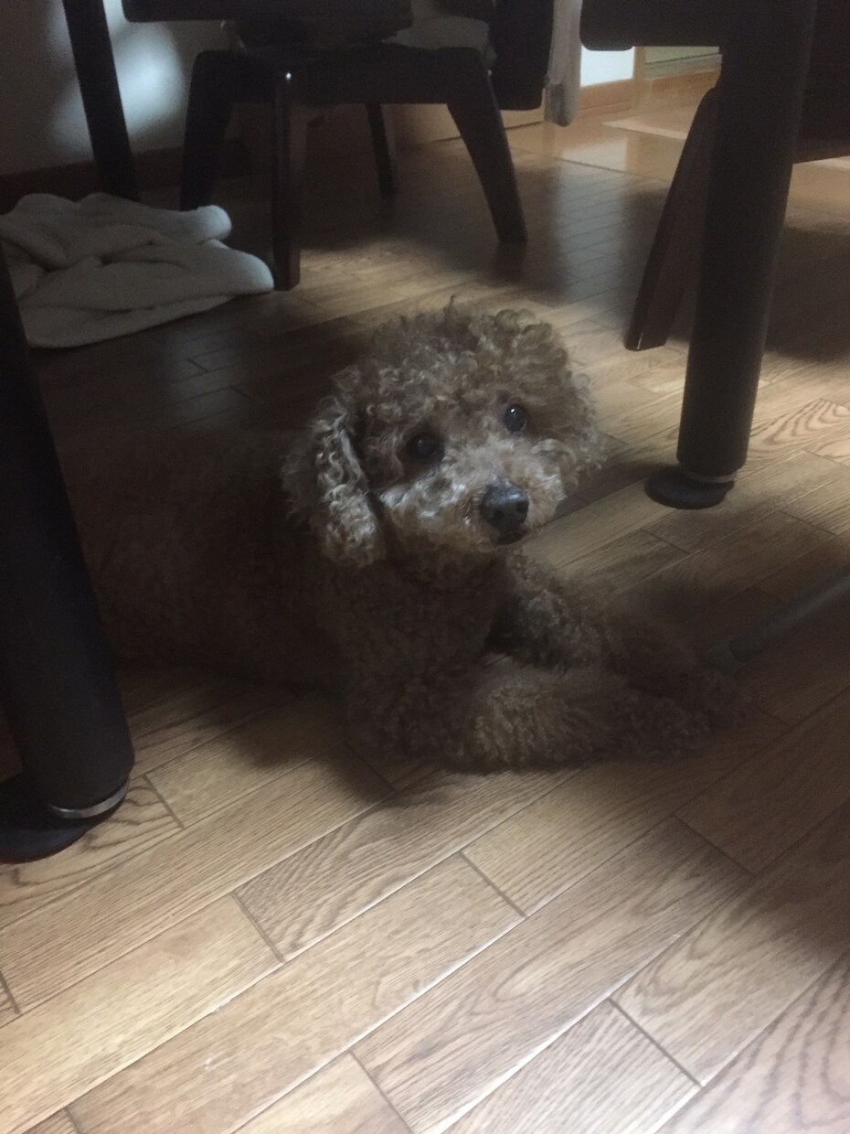 恋愛や結婚についての悩み相談をお受けいたします 男性の心理や自分に合った相手選びに悩みがある方 イメージ1