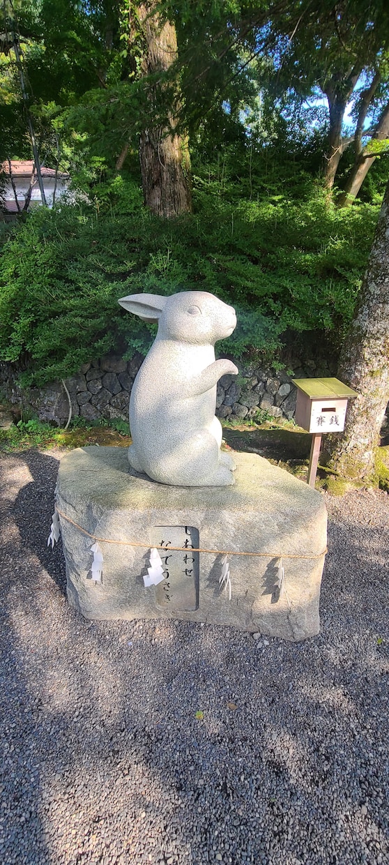タロットリーディングします あなたの悩みの解決に進む手助けになりたいと思います。 イメージ1