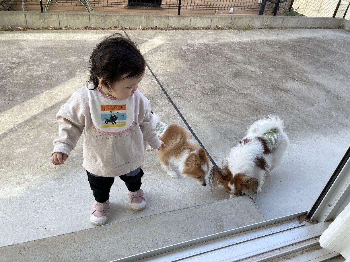 お手持ち動画のDVD作成いたします 記念に残しておきたい動画をDVDにしてプレゼント用や保存用へ イメージ2