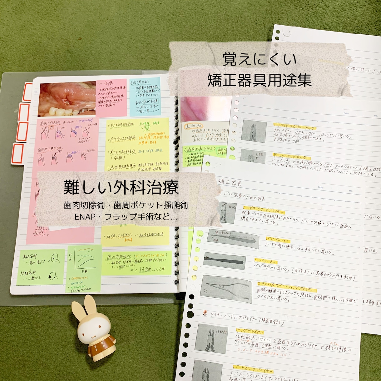 現役DH作成！国試対策まとめノートをお届けします 勉強の時短に！語呂合わせも多数記載しています^_^ イメージ8