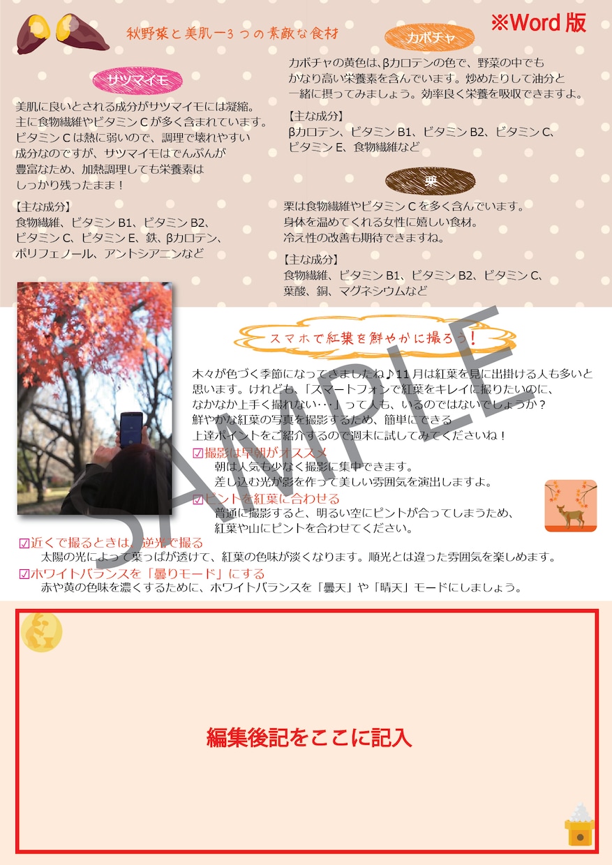 そのまま印刷して使えるニュースレターを差し上げます 女性向け月刊ニュースレター１年＋１ヶ月分のテンプレートです イメージ4