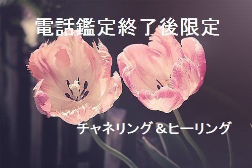 電話依頼者様限定◆チャネリング＆ヒーリングします 今必要な施術とメッセージをお届けします イメージ1