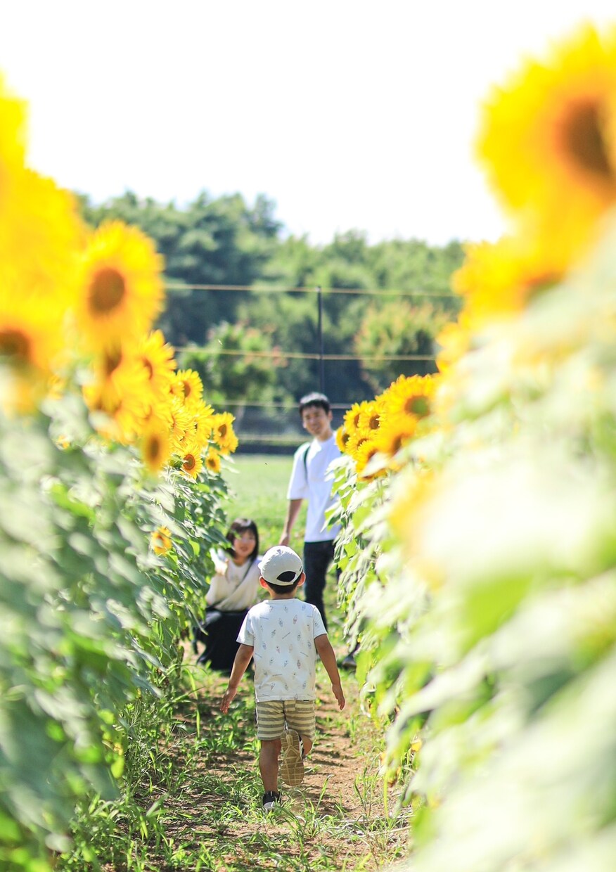 普段の雰囲気や特別なイベントを撮影します 保育士5年間写真スタジオで4年間経験を活かして撮影します イメージ4