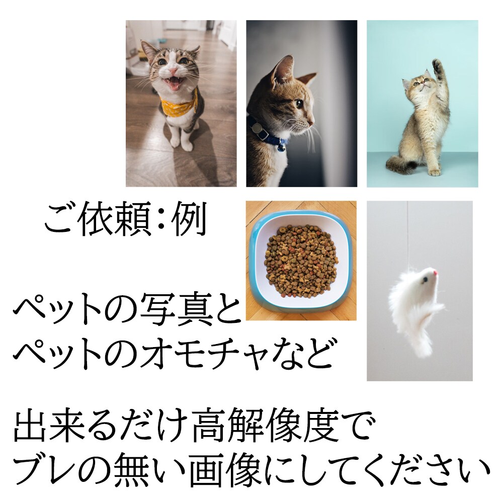 P&P風デザイン制作+自社プリント納品までします 物販・販促・キャンペーン配布用として イメージ5
