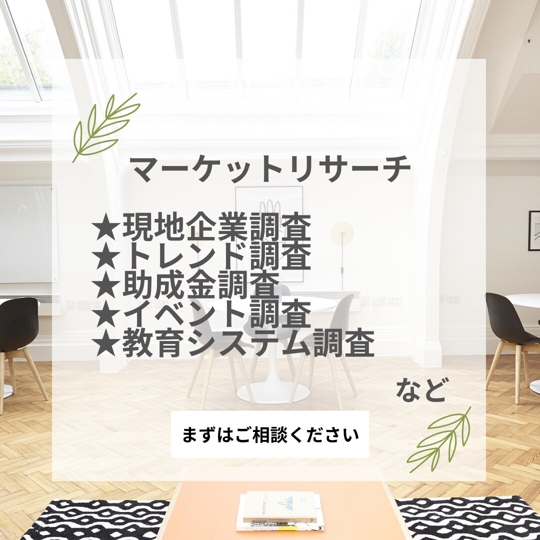 現役北欧在住者がマーケット調査のお手伝いをします 値段や市場リサーチなど、ビジネスシーズを探すお手伝いをします イメージ2