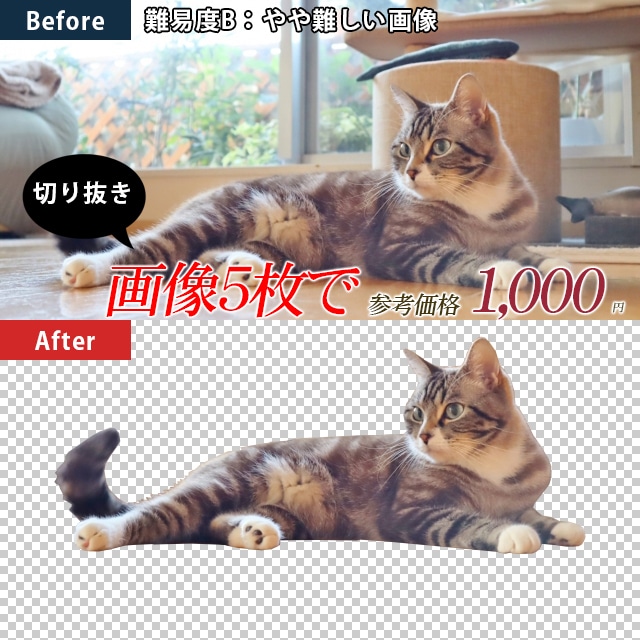 写真画像の切り抜き&補正致します jpeg＋psd＋pngデータ納品致します。 イメージ3