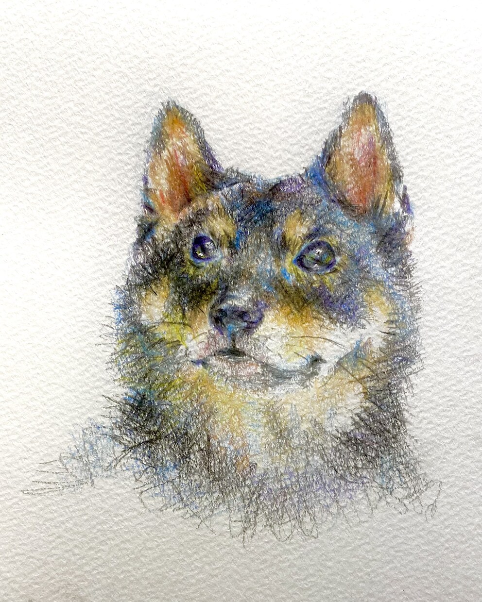 人もペットも!似顔絵描きます 人もペットも、色鮮やかな色鉛筆画で描きます。 イメージ1