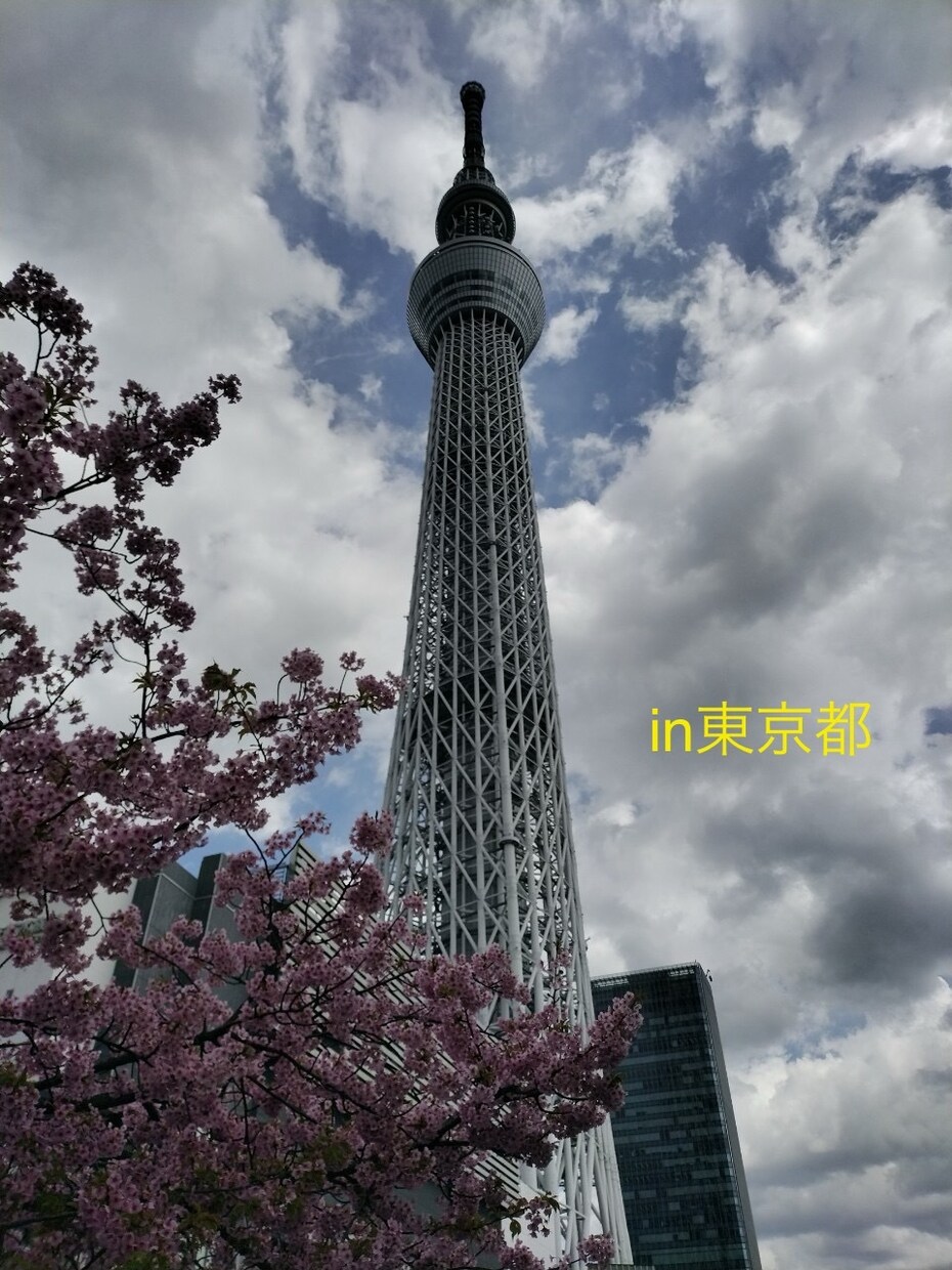 国内・海外問わず！最高の旅行プランを作成します 思い出に残る旅行プランを提案します！ イメージ7
