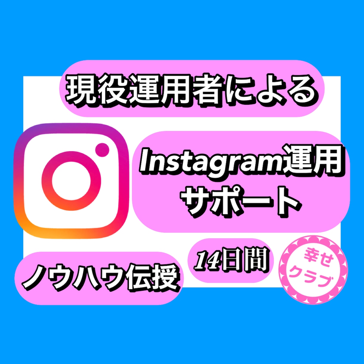 インスタ運用相談＋PDF付✨14日間サポートします インスタフォロワー4万.ノウハウ伝授！目的に沿った運用へ イメージ1