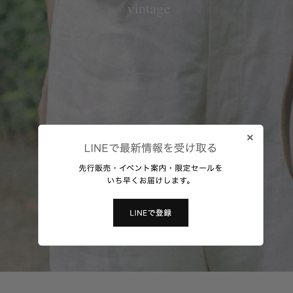 Shopifyの微調整・不具合・カスタム承ります 高額アプリ不要。コードでカスタムなどに対応します イメージ2
