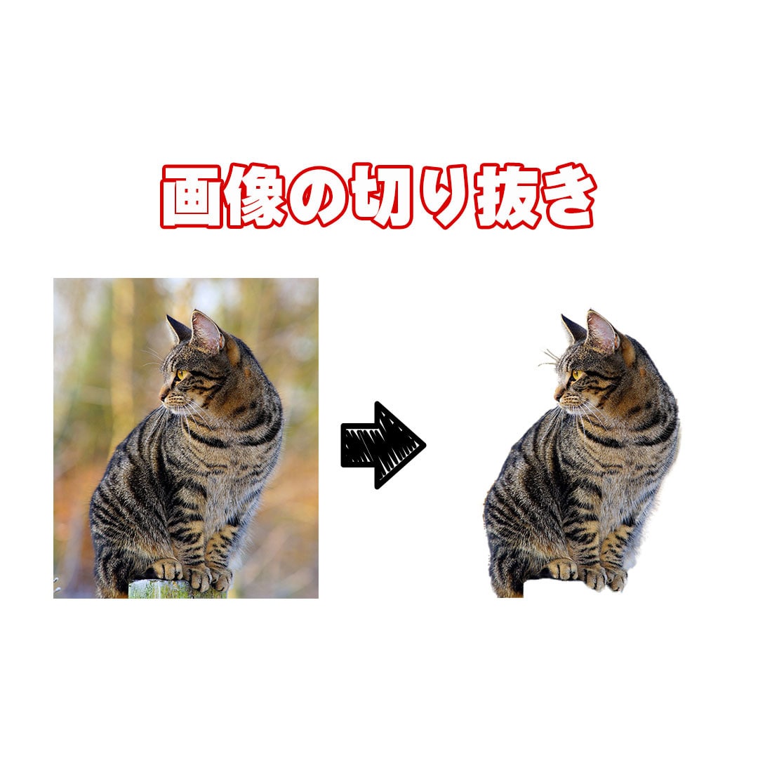 写真、画像を切り抜きます Photoshopを使用した編集が得意です。 イメージ2