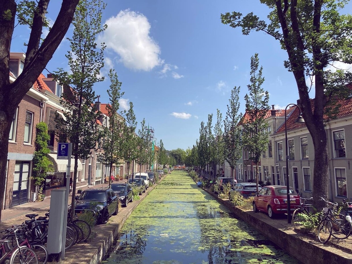 ご希望のオランダの風景などの写真を撮ります 貴方の為だけにヨーロッパらしい写真を撮ります。 イメージ3