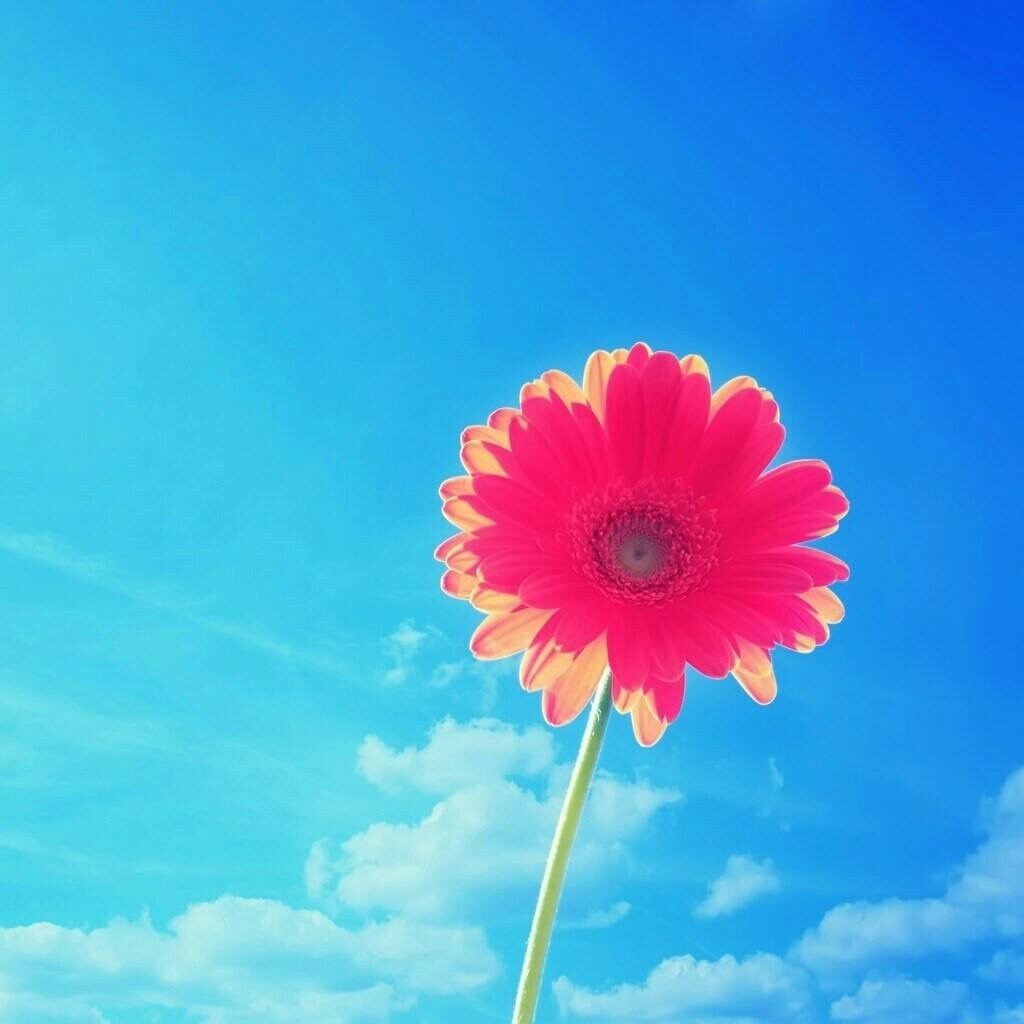 ちょこっとトーク☆ イメージ1