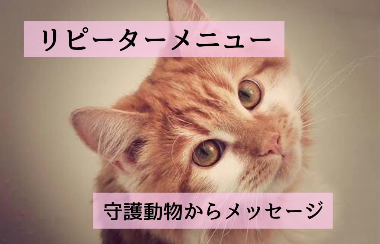 守護動物からのメッセージをお伝えします リピーター専用のメニューです。 イメージ1