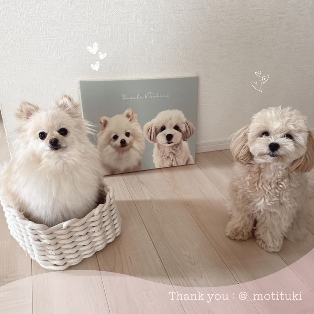 うちの子ペットイラストをキャンバスパネルにします 犬・猫の似顔絵を飾れるオーダーメイドアートに イメージ2
