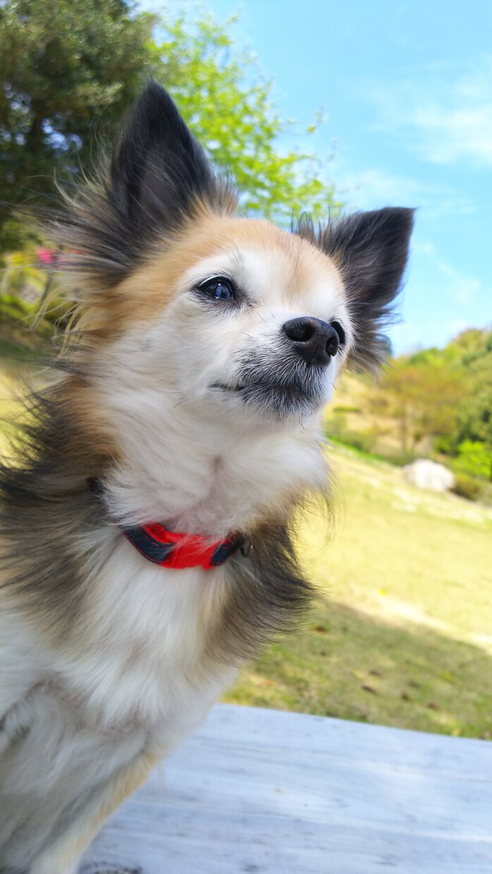 初めての転職をお考えの方お話し伺います。 イメージ1