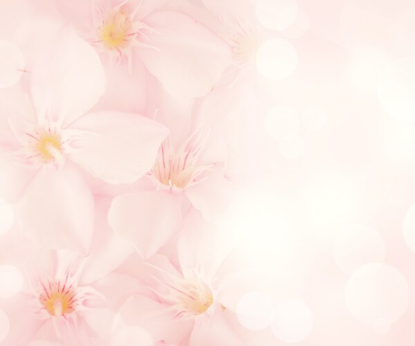 今すぐ聞いて✨はい！あなたに優しく寄り添います ☆孤独／愚痴／悩み／恋愛／話し相手／暇つぶし／何でもOK☆ イメージ2