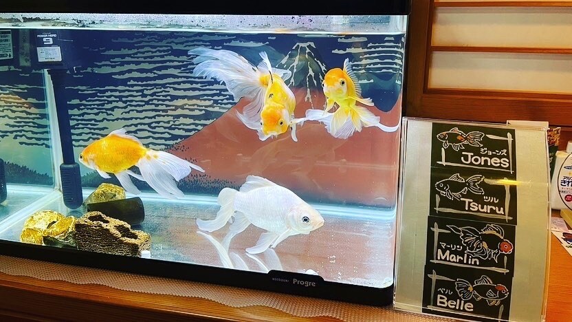 うちの子（水槽系）のネームプレート作ります うちの子の魚種と名前をタンク周りに貼りたい…そんなあなたへ イメージ6