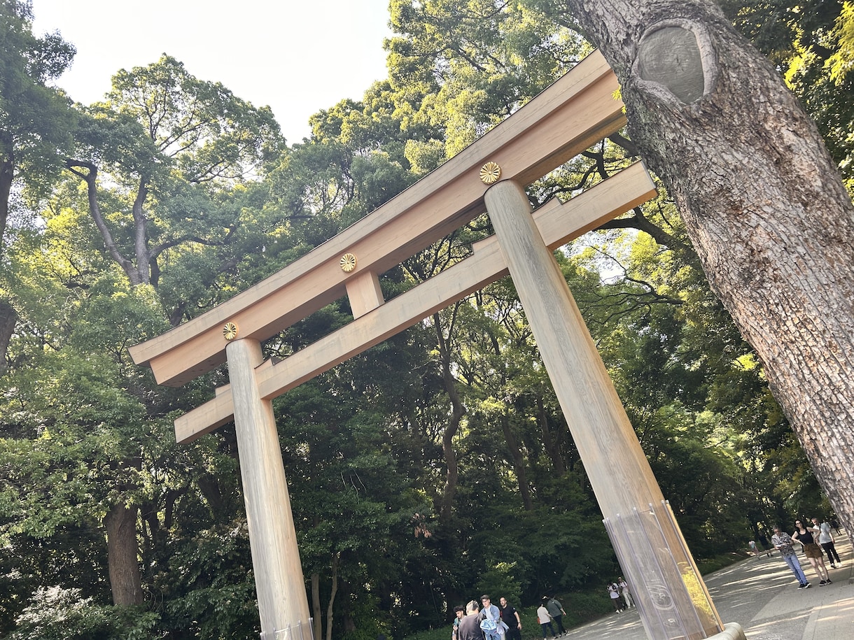皆様の愚痴お聞きします ぜひ私と一緒にお話ししませんか？ イメージ1