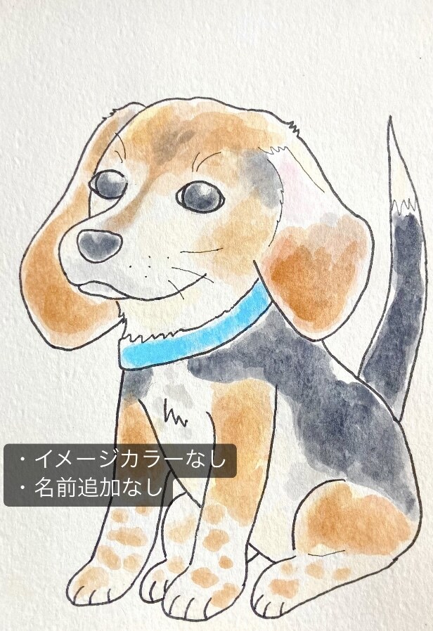透明水彩絵具で大切なペットのイラストを手描きします そのままプレゼントしたりお部屋に飾れる原画ポストカードです♪ イメージ7