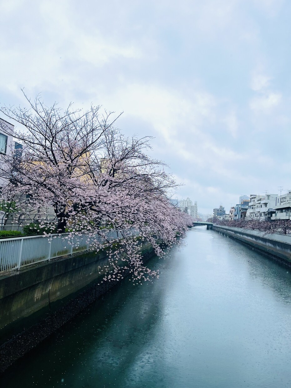 1分からOK❤️あなたのお悩み、何でもお聞きします 思いの丈をお好きなようにお話しください。 イメージ2