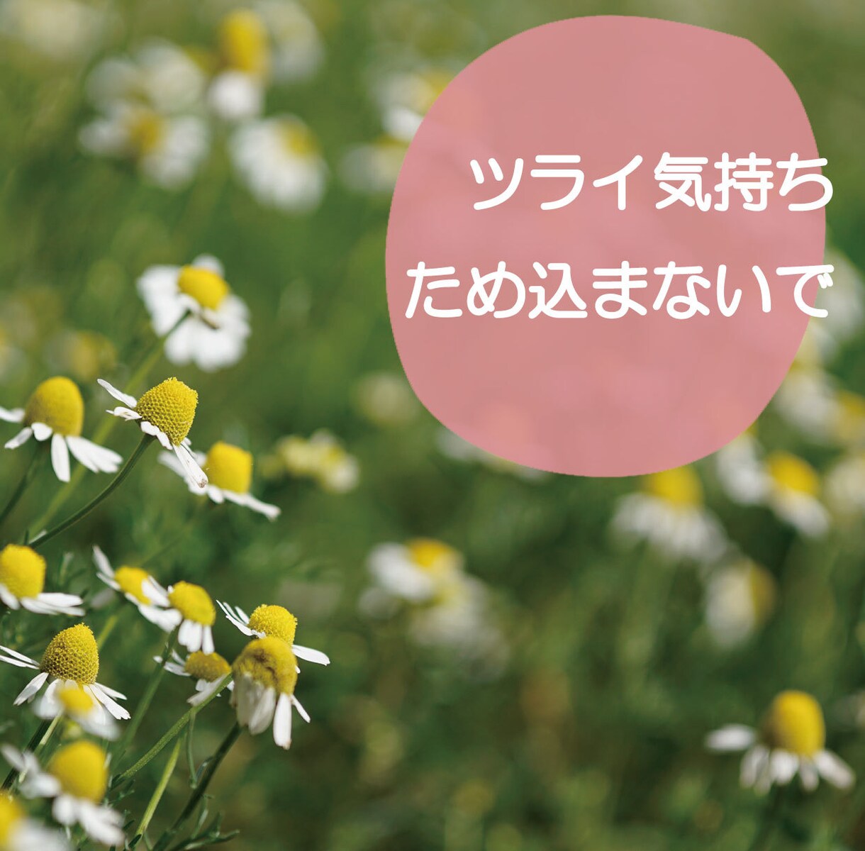 ツライ気持ちため込まないで！吐き出すお手伝いします ♡更年期ツライ！コロナツライ！ツライをすべて受け止めます！ イメージ3