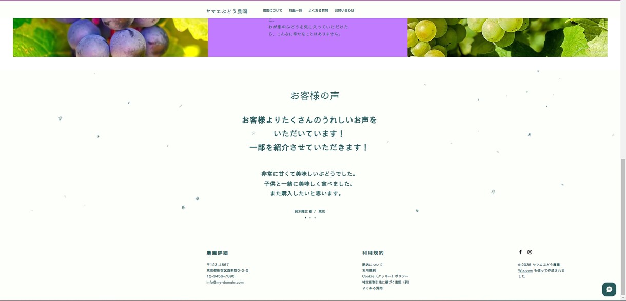 Wixでシンプルで見やすいLPを制作しますます Wixでシンプルで見やすいLPを制作します イメージ3