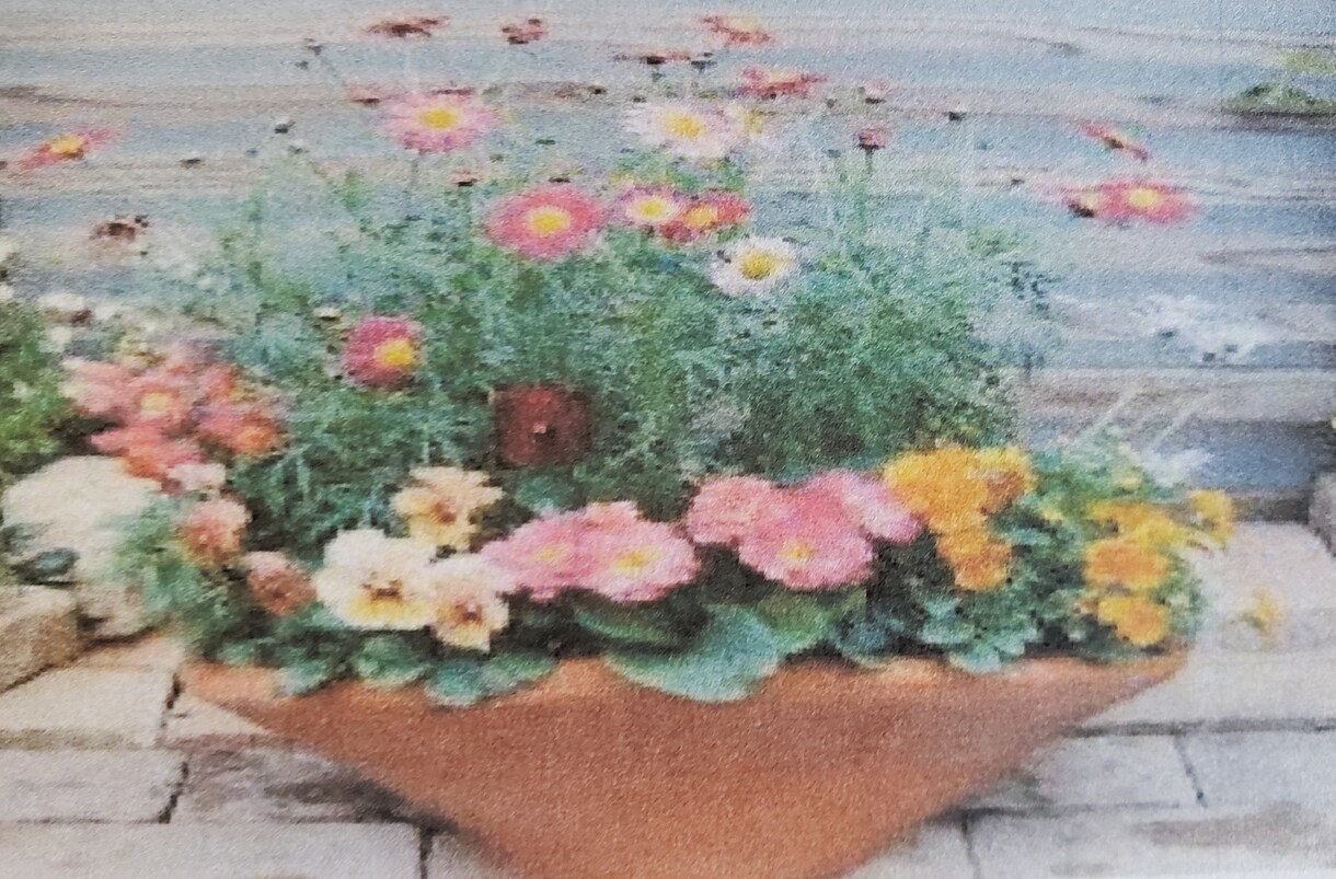 植物、緑で安らげる空間作りのご相談致します 1級技能士の資格を持つガーデンアドバイザーがご相談致します。 イメージ3