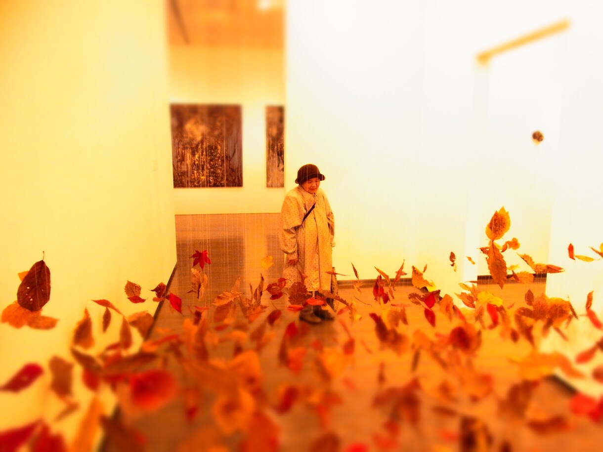 個展等、展示の客観的なアドバイスなどを行います さらに引き立つ展示のお手伝いいたします。都内実績多数。 イメージ1