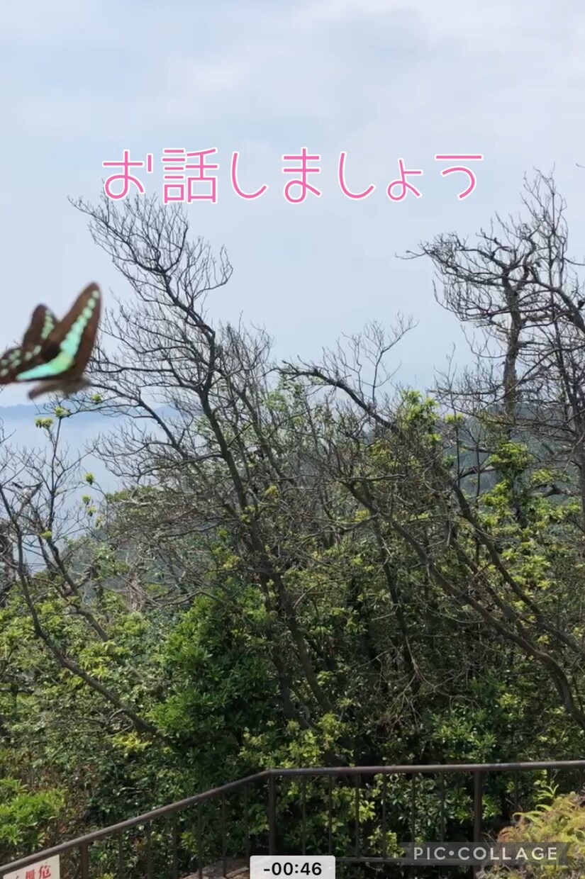 何となく話がしたい。1分でも話し相手になります 愚痴いいたい。ただ誰かと話したい。そんな貴方のお話聞きます。 イメージ7