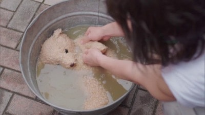 のんびり おしゃべりします ひまつぶしやストレスの吐き出し口になります♨︎ イメージ1