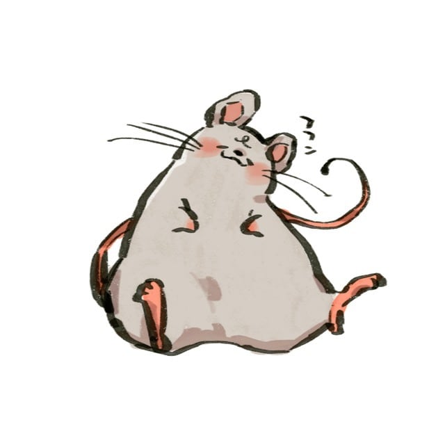 ゆるいアイコンをお描きします ゆるい動物のイラストを描きます(3枚) イメージ4