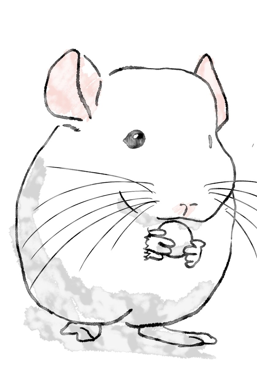 可愛いくてかっこいい動物のイラストを描きます シンプルな線画ではがきや年賀状、SNS等のアイコンにも！ イメージ4