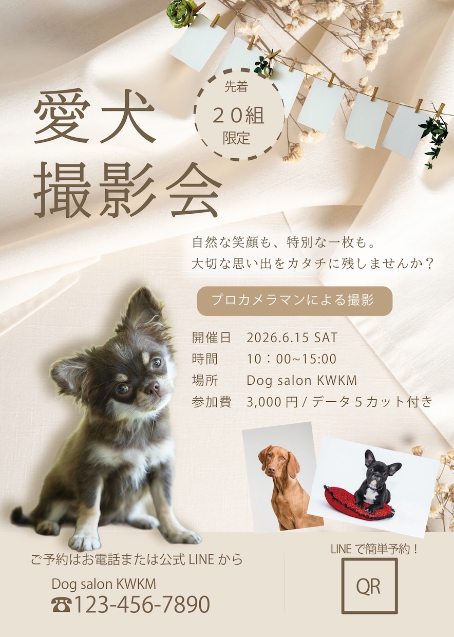 ペットタクシー、サロン等のチラシをお作りします ペット関連の新規開店のお手伝いさせてください！ イメージ1