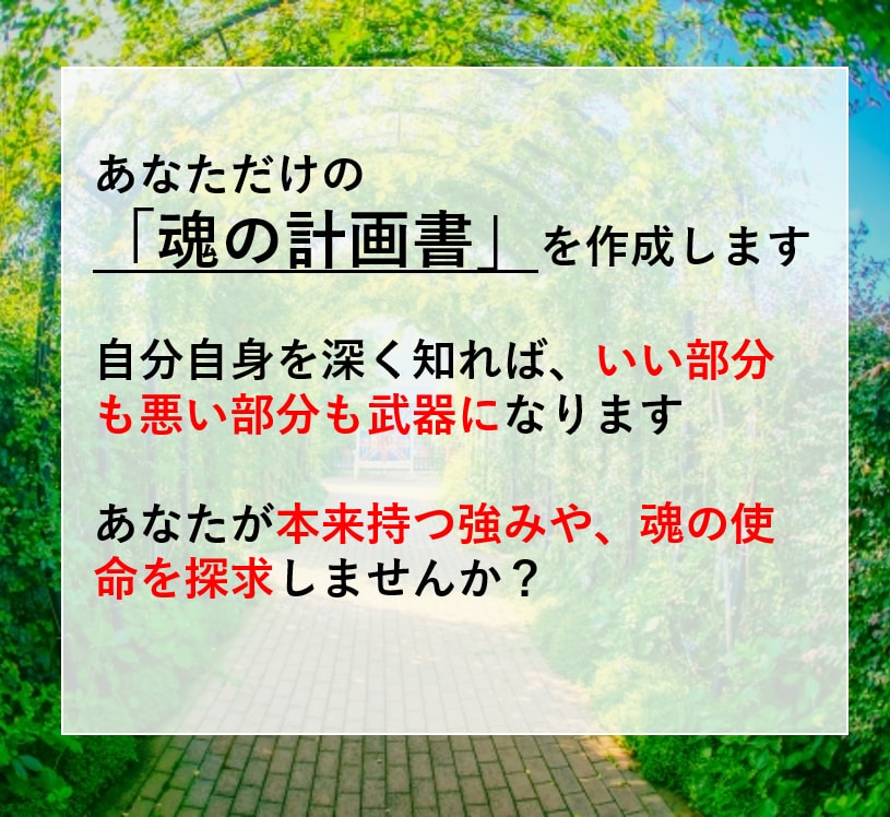 あなただけのオーダーメード！開運方法をお伝えします 生まれ持つ星周りから、あなたにあった特別な開運方法を伝えます イメージ7