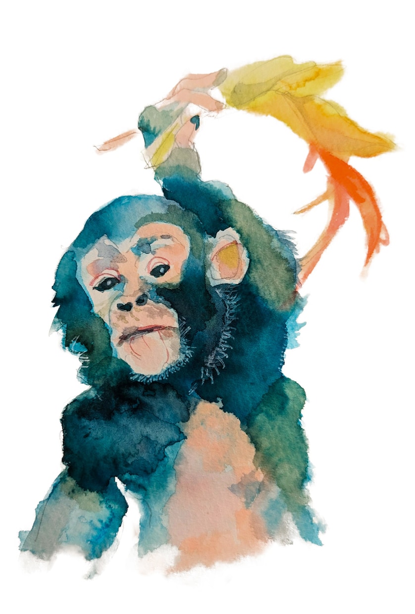修正無料　動物イラスト（ペット）承ります 動物と植物をコーディネートします イメージ3