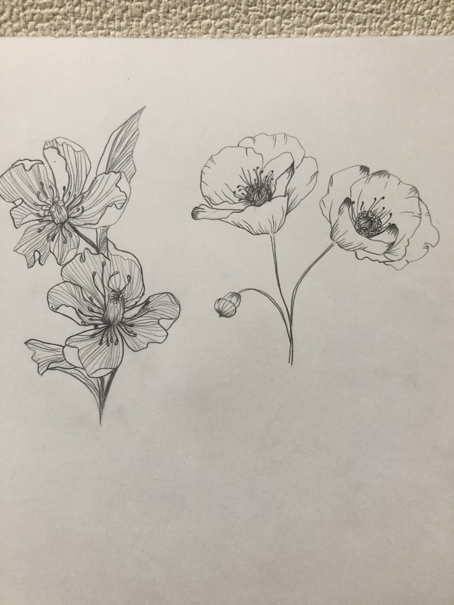 線画のみのお花の絵描きます いろんな用途でご使用できます。 イメージ3