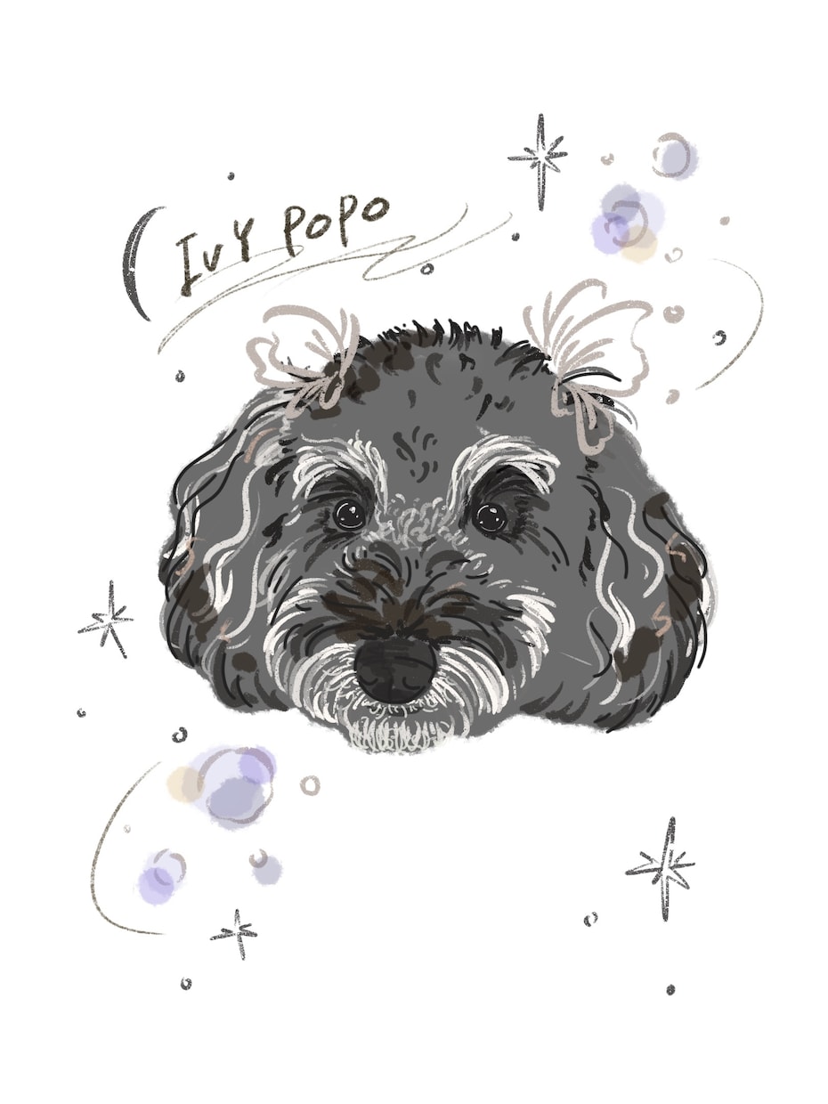 ペットのフェアリーなにがお絵を描きます 犬、猫、鳥、爬虫類..etc 動物ならなんでもOK イメージ1