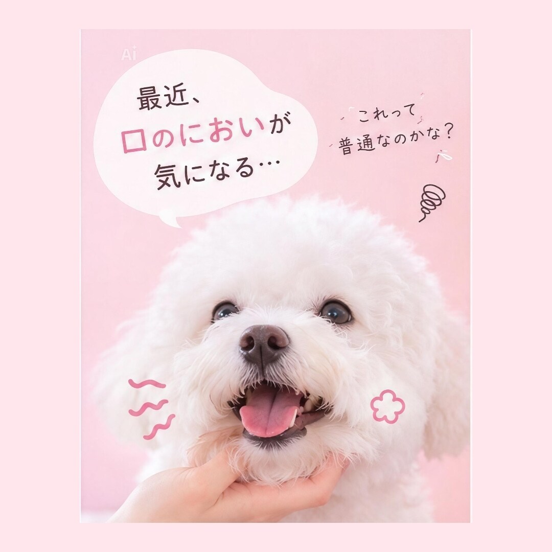 愛犬の口臭のお悩みを一緒に考えます 口臭が気になる、歯磨きが苦手などのお悩みに寄り添います イメージ2