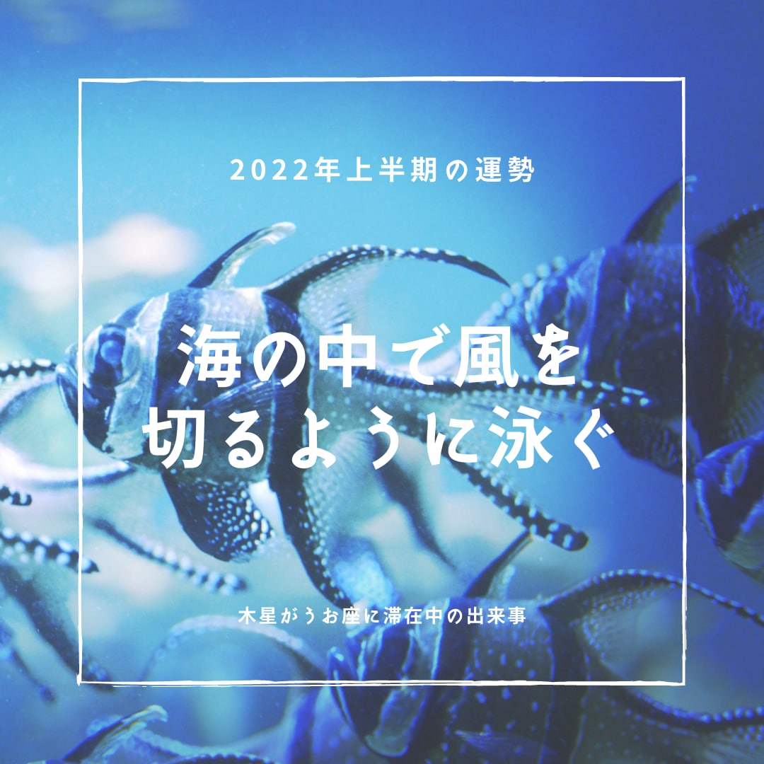 西洋占星術による2022年上半期の運勢をお渡します 時間のないあなたに、ブログやSNSなどに使用可能な運勢鑑定 イメージ1