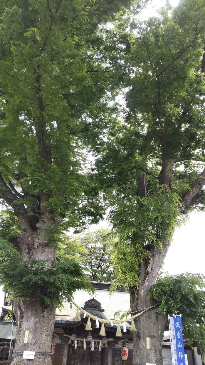 モヤモヤする相手の気持ち、占います 今、苦しい貴方のために、恋愛いろいろ受け付けます。 イメージ6