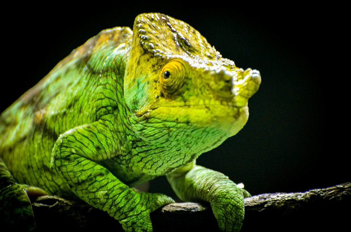 写真加工や、シンガポールにある物の写真を撮ります 依頼主の満足いくまで！何度もやり直します！ イメージ5