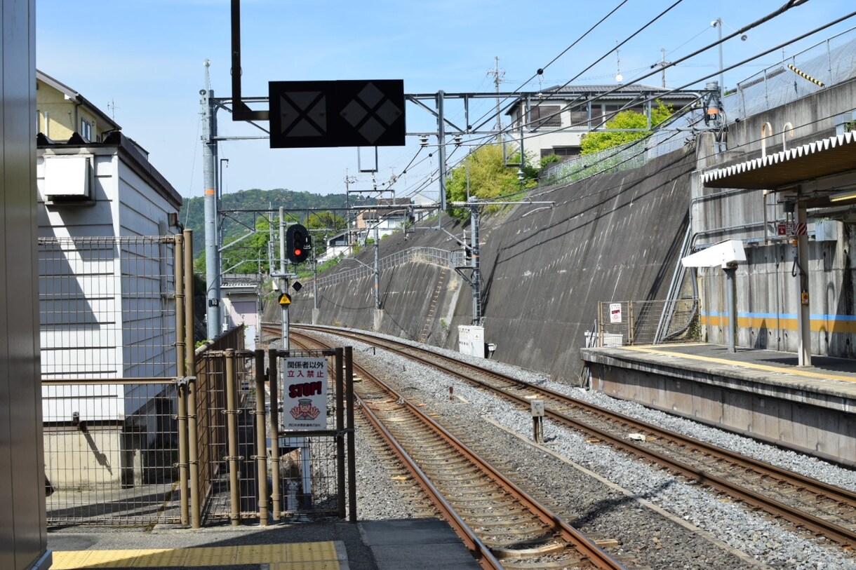 あなたの欲しい写真、私が代わりに撮ってきます カメラ、行く時間、車がない...そんな人の為に イメージ3