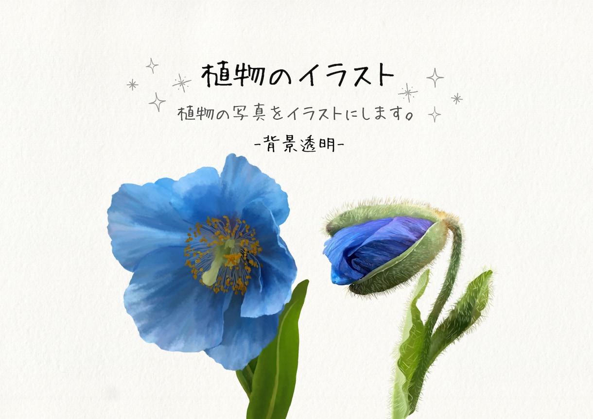 写真を参考に植物イラストを作成します 背景透明　水彩風やわらかタッチの植物画 イメージ1