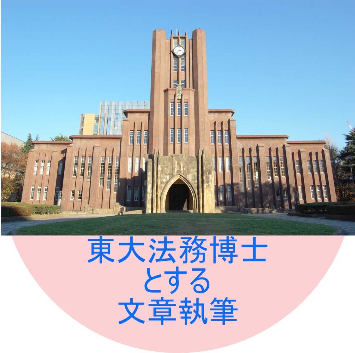 東大院卒★小説・文章の添削・国語力アップ指導します 【1ヶ月間!】基礎的な国語力に問題がある方に朗報! イメージ1