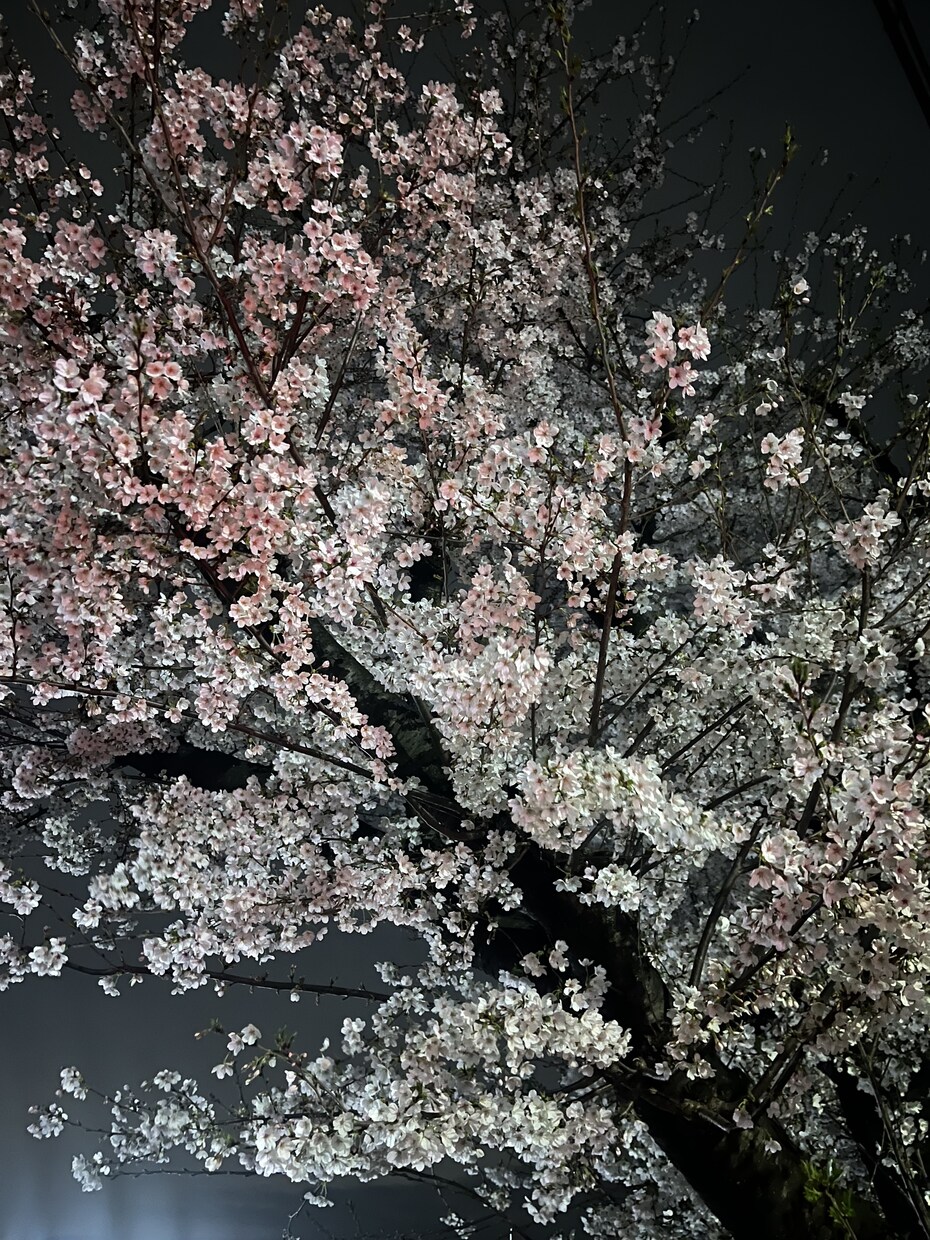 今のあなたの心に寄り添います 人生なんとかなる！あなたが寄りかかれる肩を少しお貸しします イメージ2