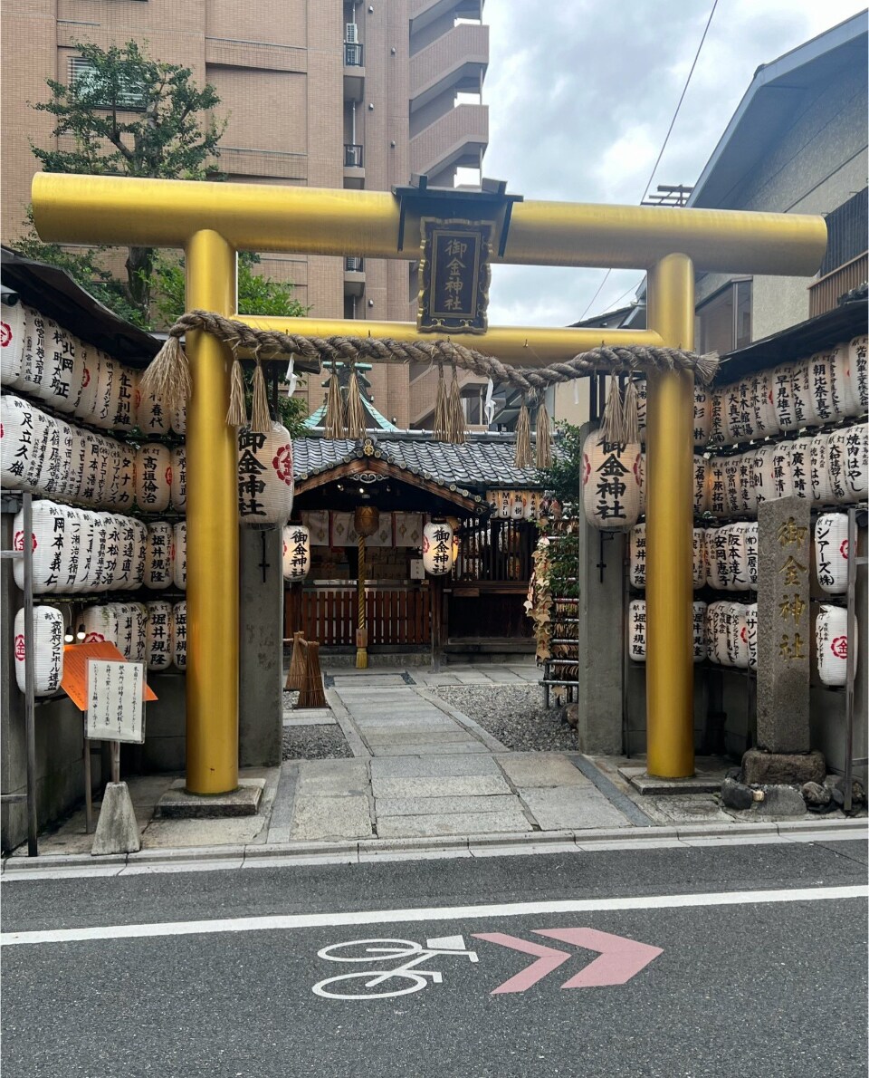 大人向けの深い洞察と未来鑑定をします 透視で見えない未来、壁。仕事，家族，愛その先にある真の変容を イメージ9