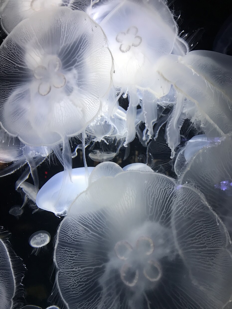 今の自分を変えたい方へ お話伺います 今のままではいけない！変わりたいと願っているあなたへ イメージ1